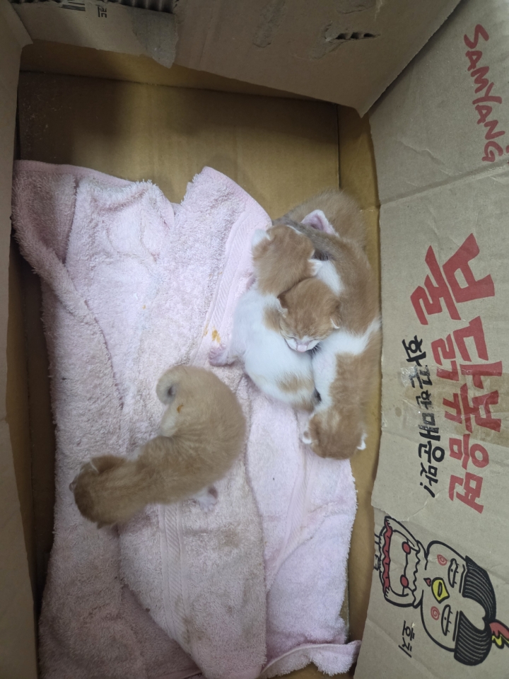 최종주동물병원_443444202500245